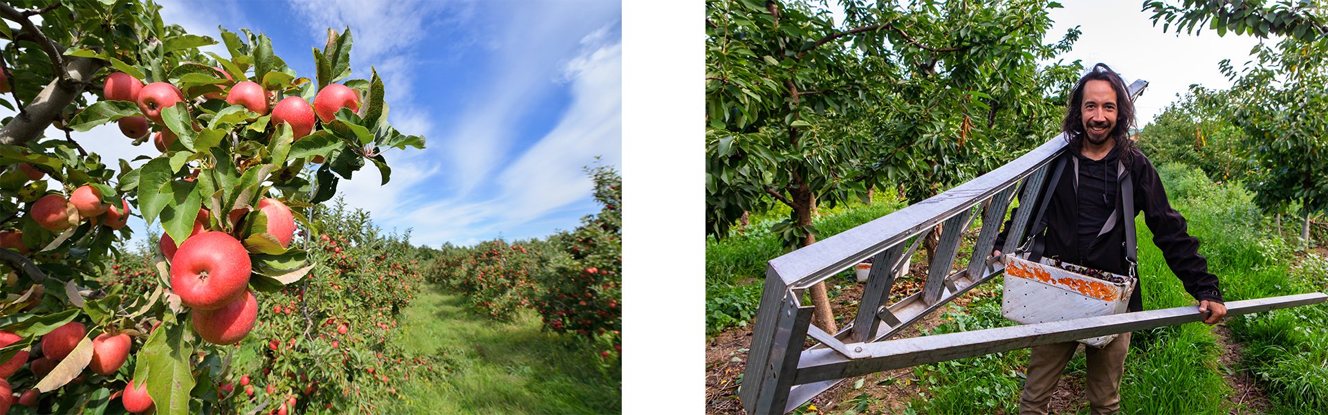 For Patients sub menu